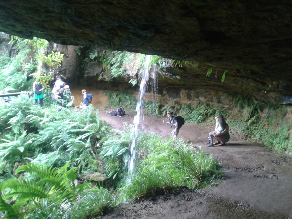 Journey to the heart of the&nbsp;wilderness