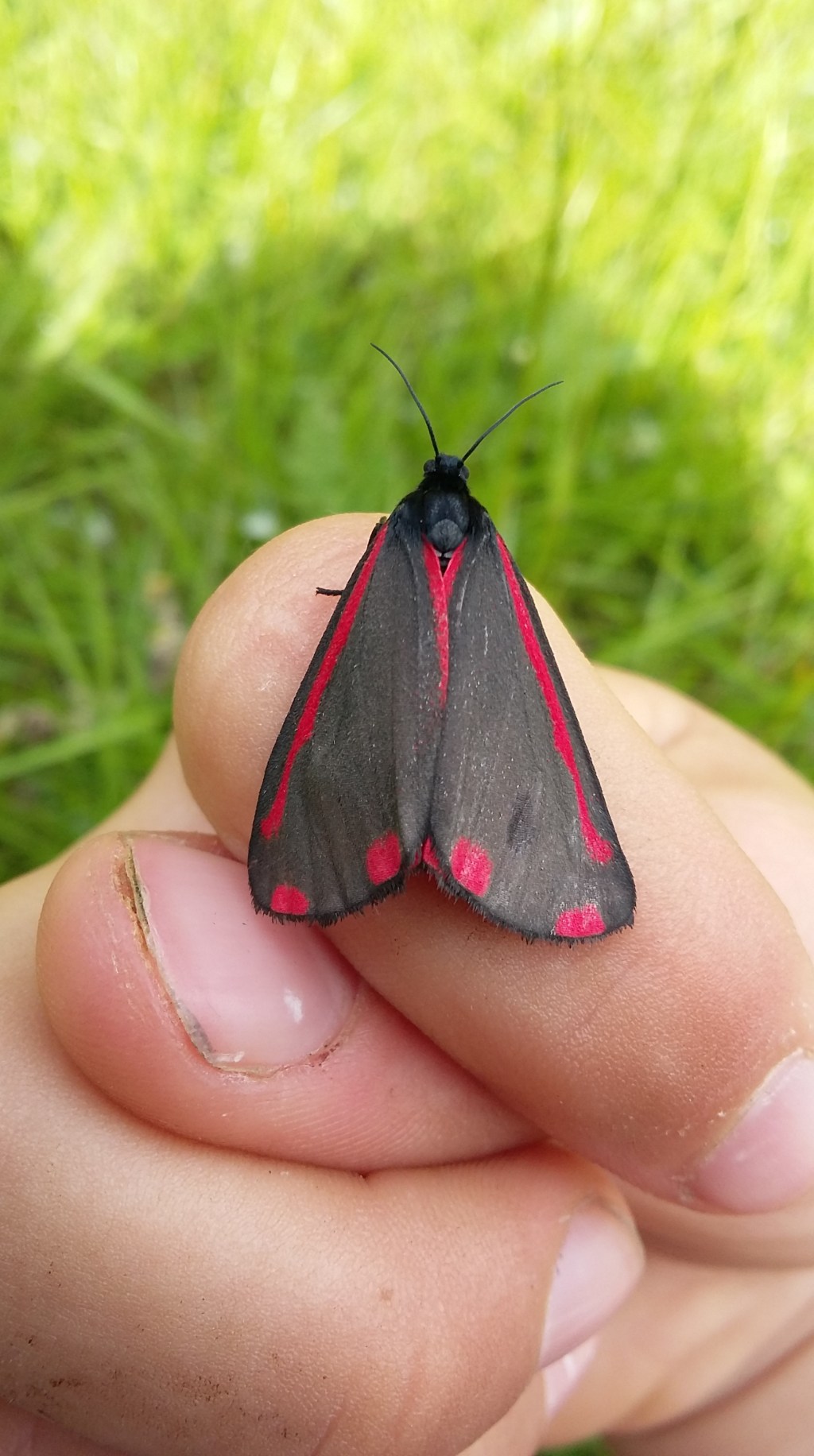 Colonisation of the Sacred – Breaking the Patriarchal business model by Eartha Love